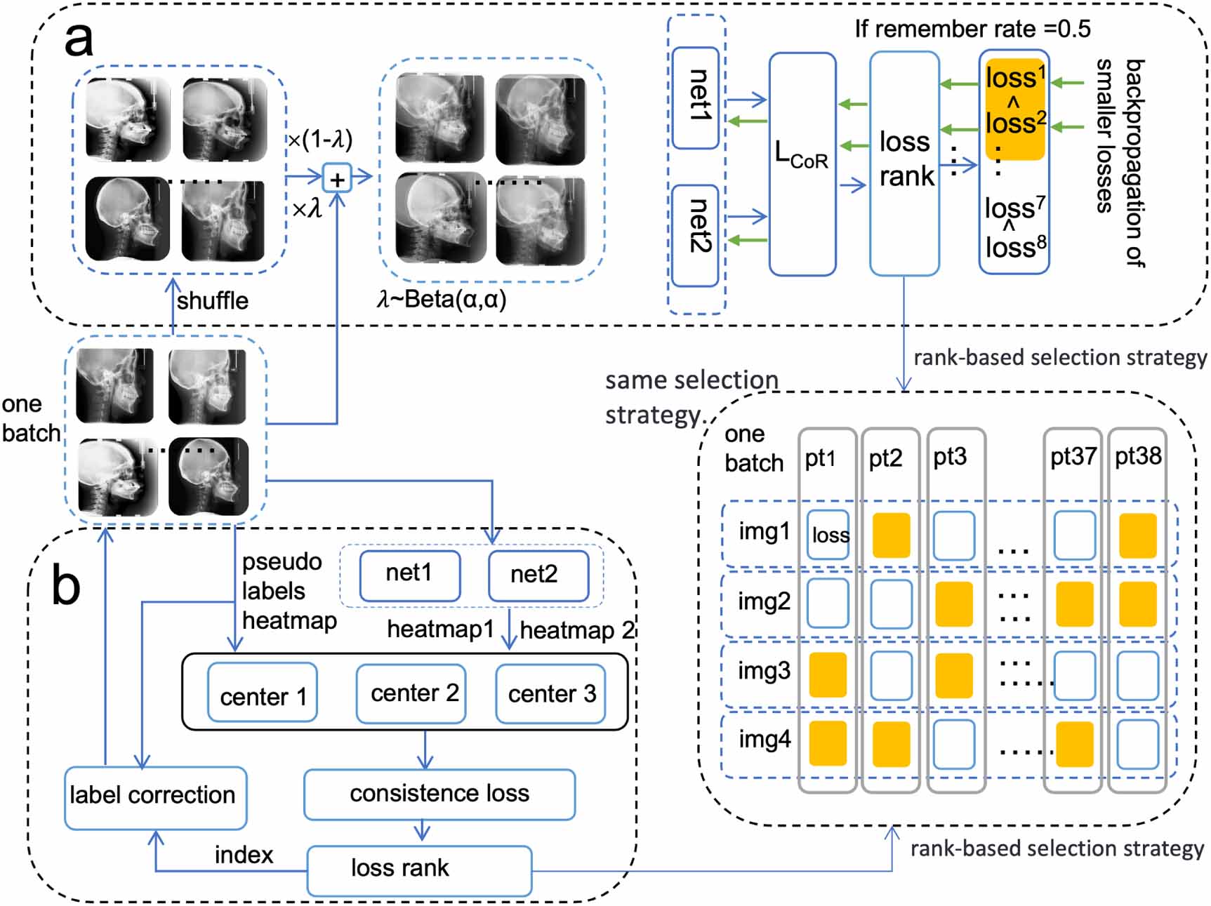 MODD: multicenter one-shot medical landmark detection and denoising ...