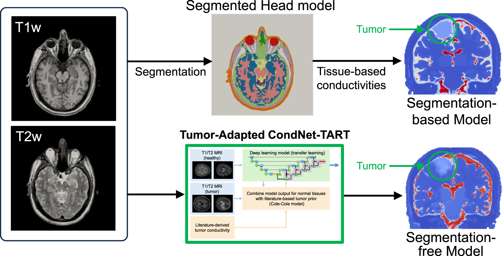 Accurate localization of motor function using transcranial magnetic ...