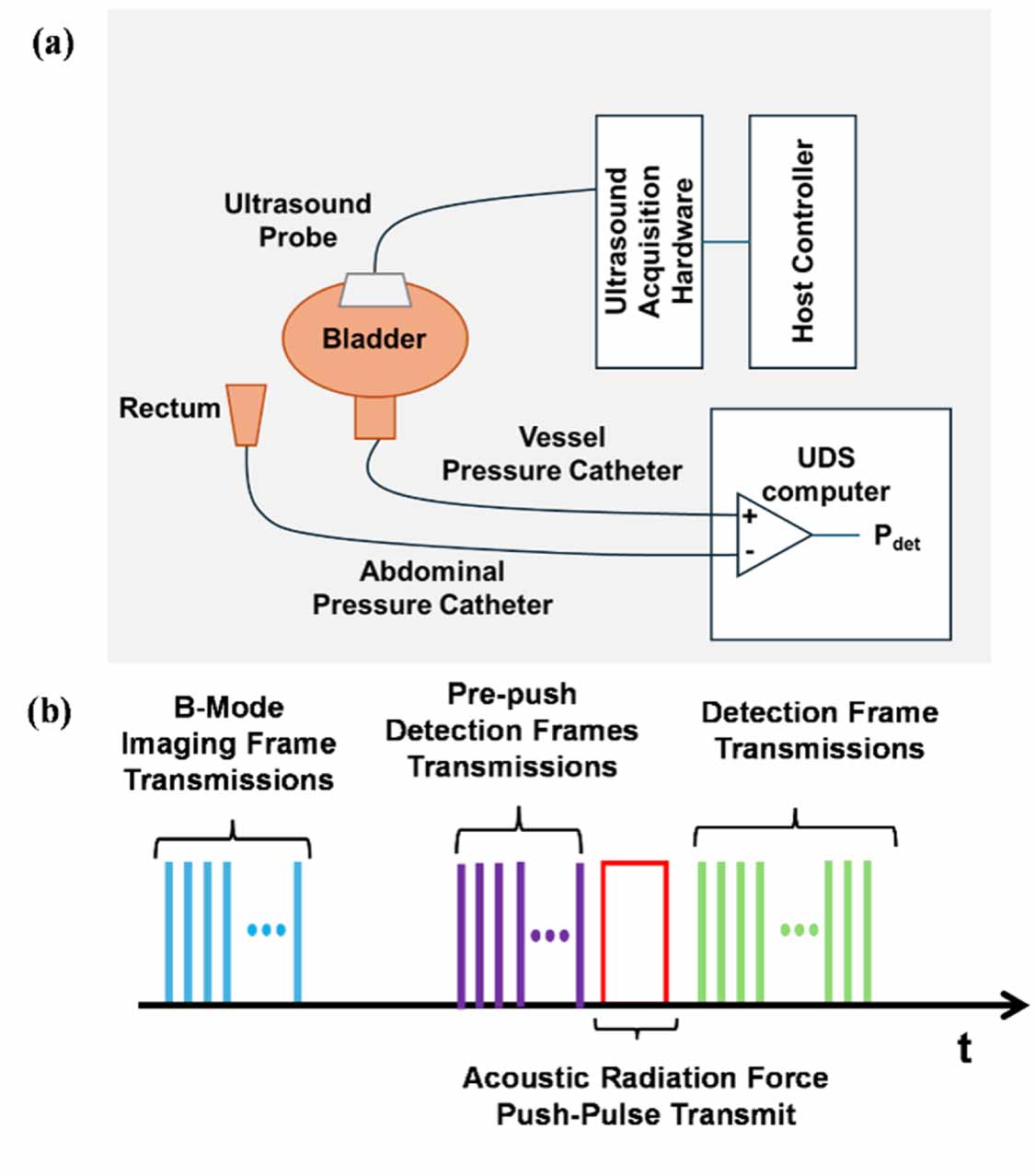 Uds Testing Ultrasound urodynamic studies (US-UDS): noninvasive estimation of ...