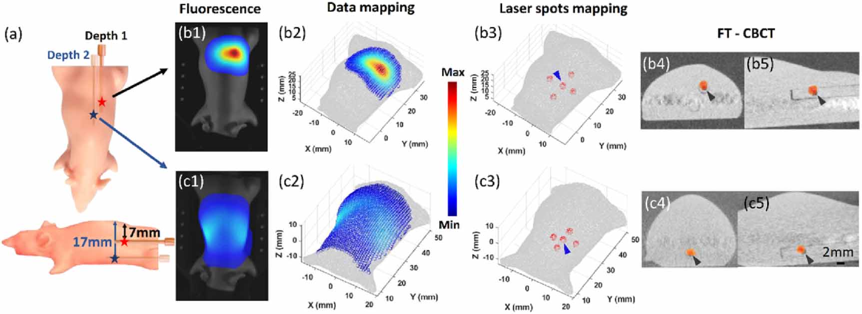 High precision fluorescence tomography system for pre-clinical ...