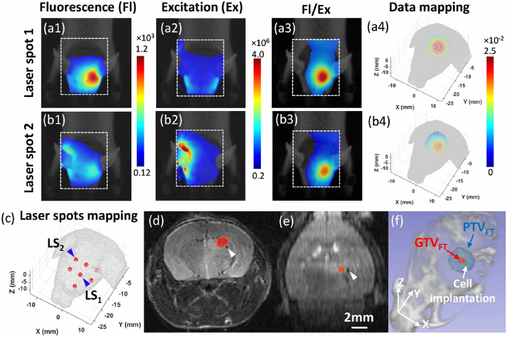High precision fluorescence tomography system for pre-clinical ...