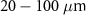 $20-100\;\mu\textrm$