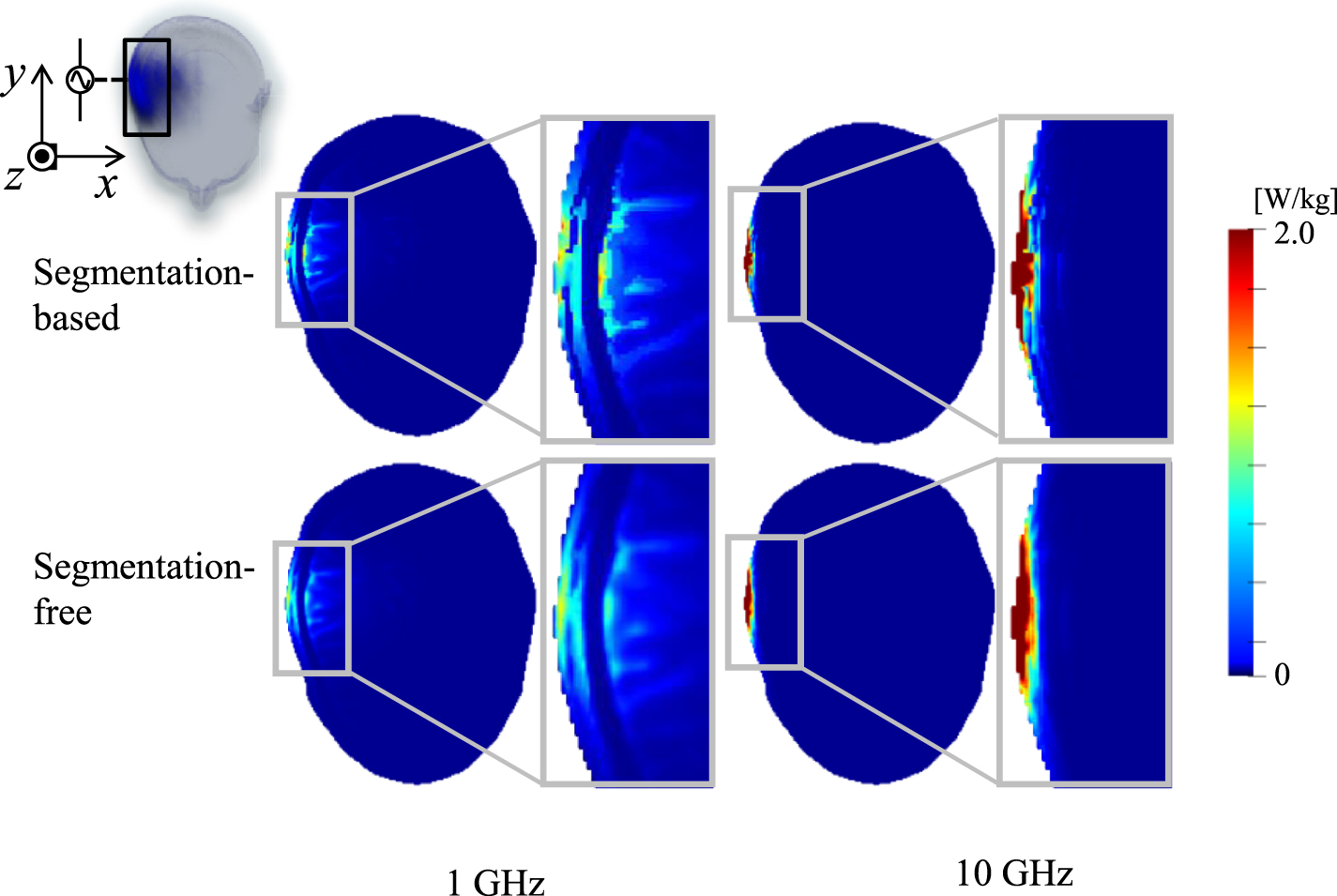 Power absorption and temperature rise in deep learning based
