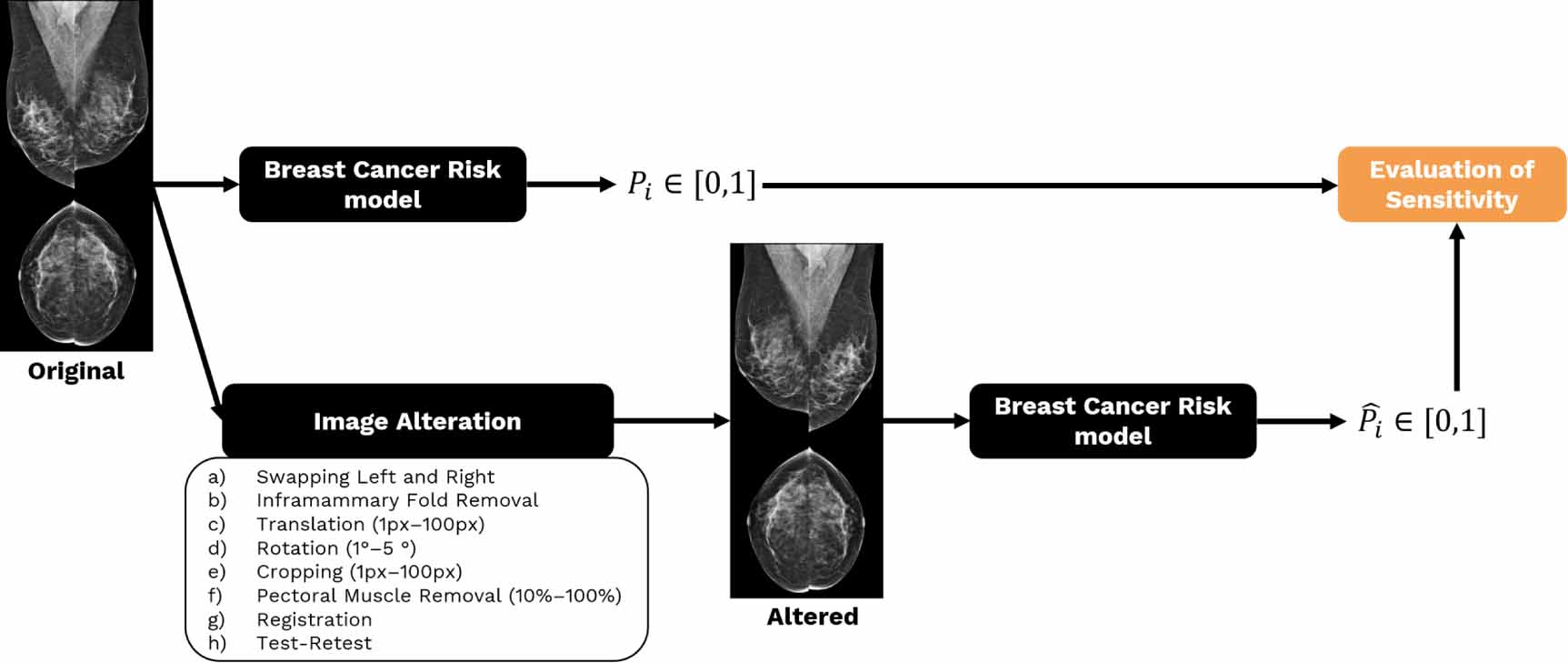 Sensitivity of a deep-learning-based breast cancer risk prediction ...