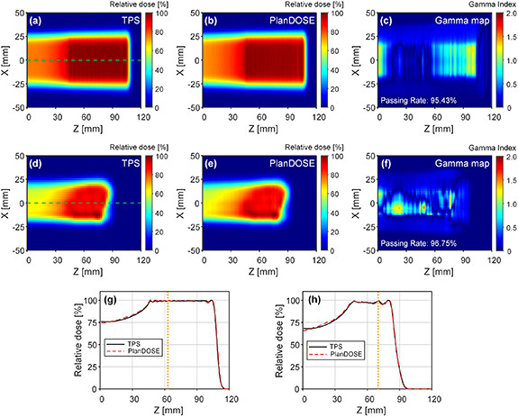 A novel and fast 3D dosimetry for patient-specific quality assurance in ...