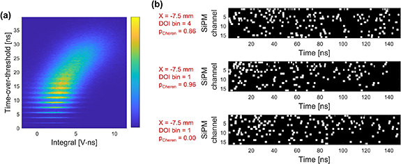 Exploring spatiotemporal information in a Cherenkov and scintillation ...