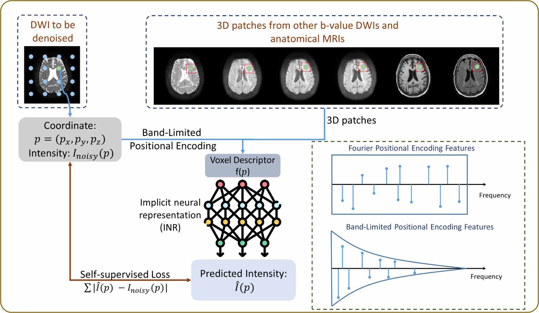 Band-limited implicit neural representations for diffusion-weighted ...