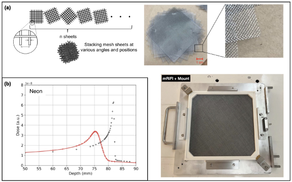 Neon Radiography Neon ion radiotherapy: physics and biology - IOPscience