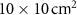 $10 \times 10\,\text^2$