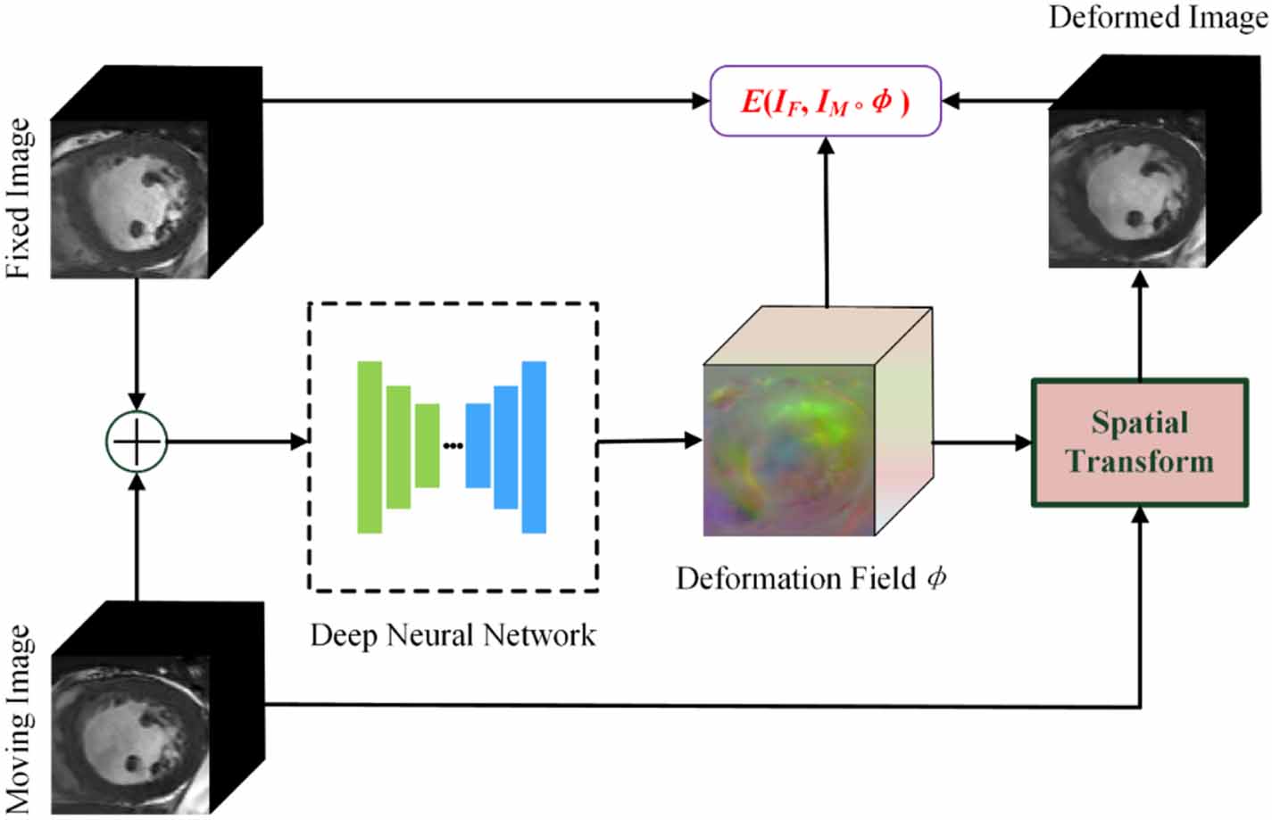 Deformable image registration using multi-resolution vision Transformer ...