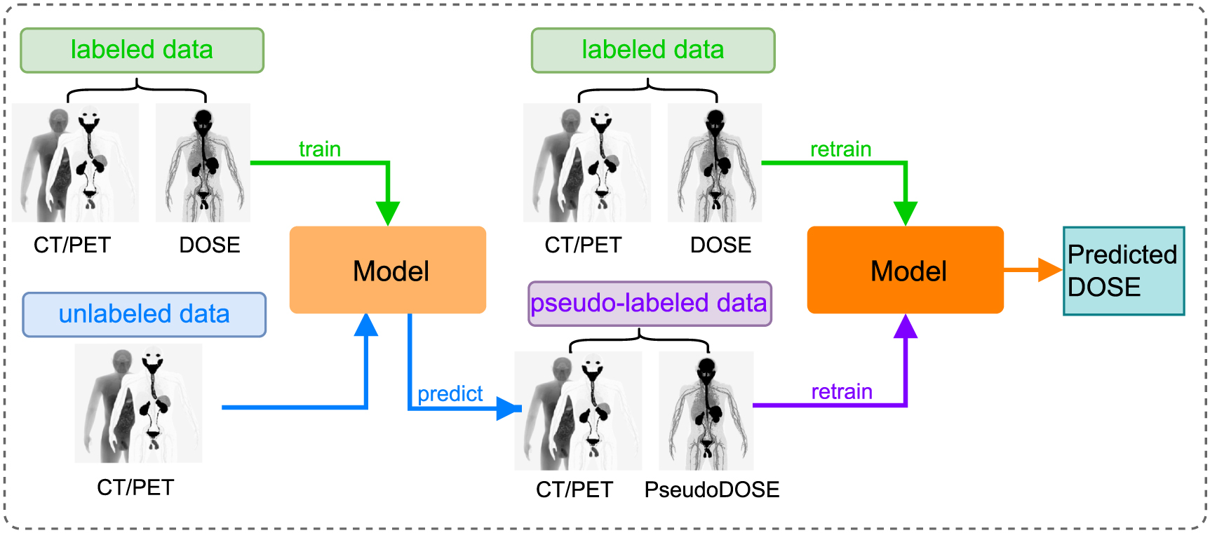 Semi-supervised learning for dose prediction in targeted radionuclide ...