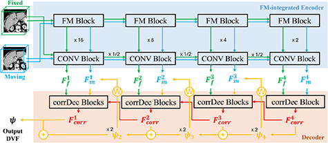 Foundation model-enhanced unsupervised 3D deformable medical image ...