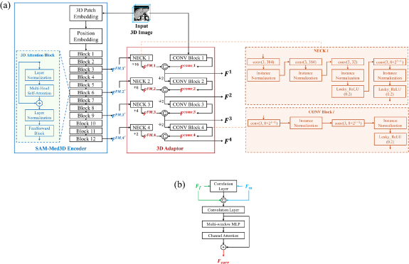 Foundation model-enhanced unsupervised 3D deformable medical image ...