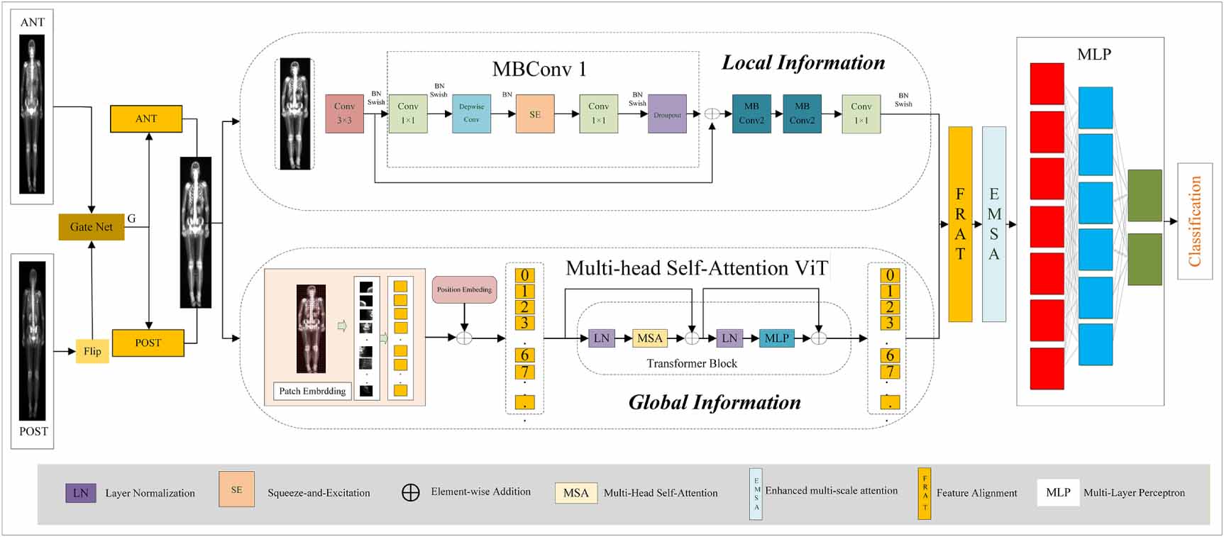 DBFANet: a dual-branch feature alignment network for automated ...