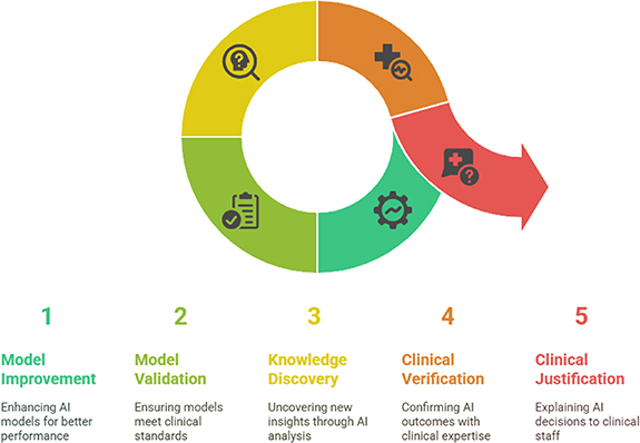 Maximizing impact of explainable artificial intelligence in ...