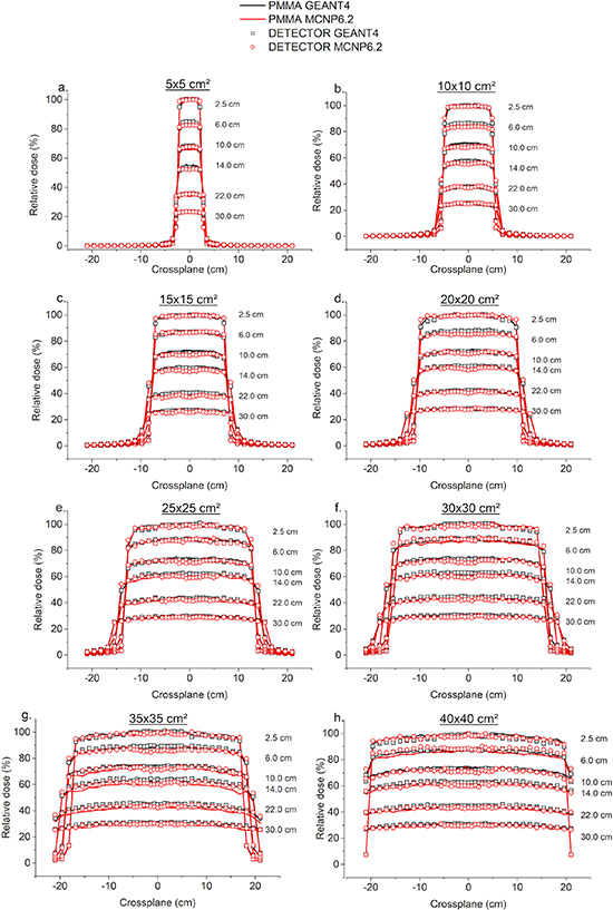Monte Carlo simulations of a new 3D electronic detector for ...