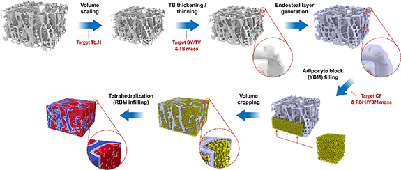 Mesh-based detailed skeletal models for the ICRP reference pediatric ...