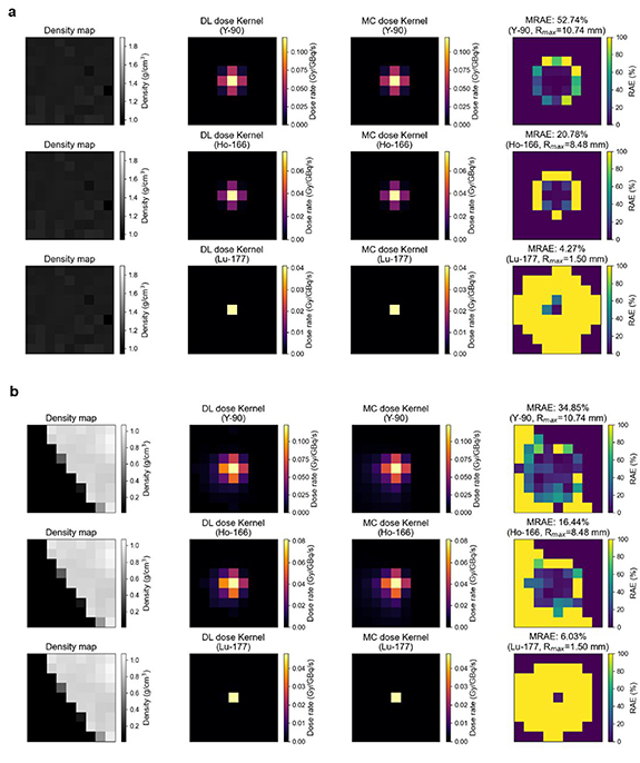 A deep learning-based framework for patient-specific radiation dose ...