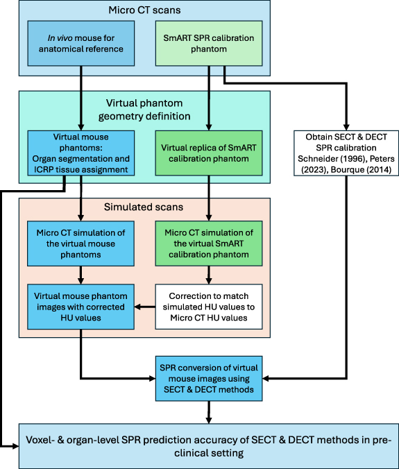Micro CT calibration accuracy for pre-clinical studies in ion therapy ...