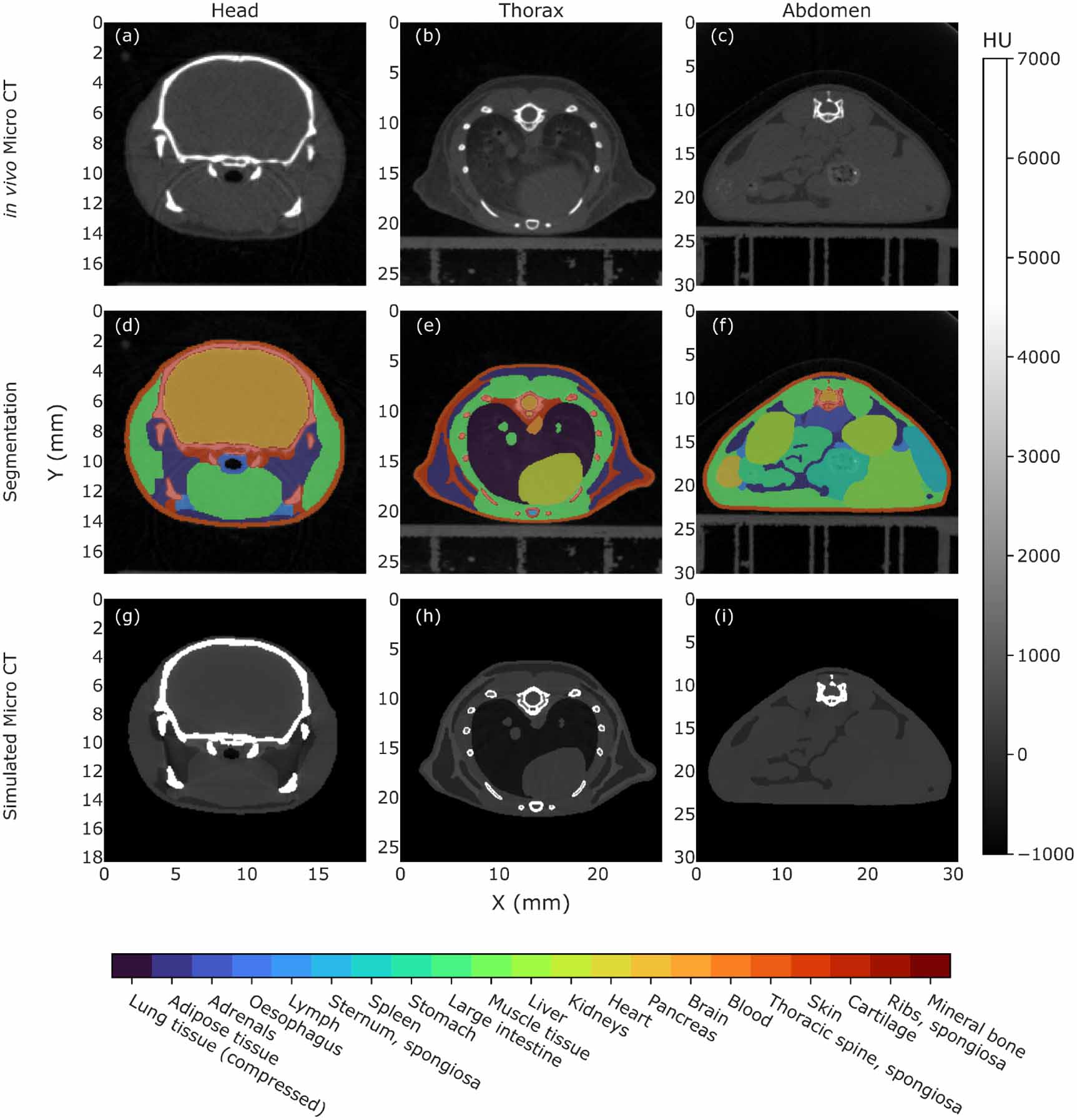 Micro CT calibration accuracy for pre-clinical studies in ion therapy ...