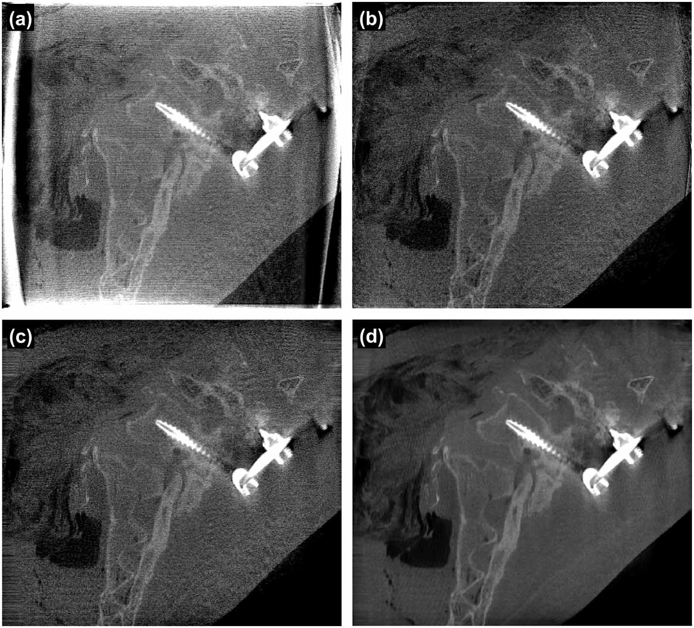 Multi-resolution extended-volume model for iterative reconstruction in ...