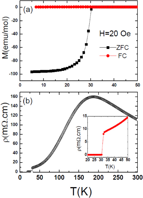 Overview on the physics and materials of the new superconductor