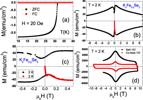 Overview on the physics and materials of the new superconductor