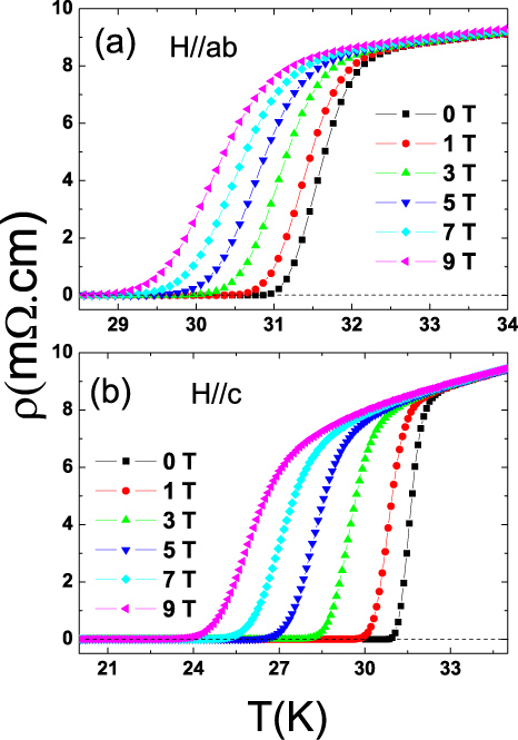 田中 Overview on the physics and materials of the new superconductor