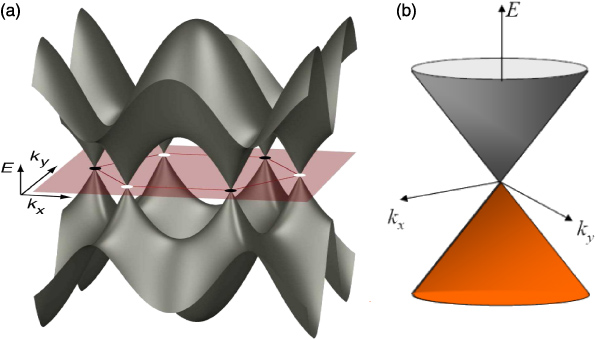 Жыныс-хоразм