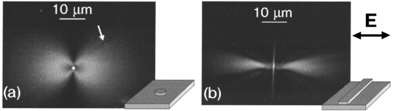 Radiation guiding with surface plasmon polaritons - IOPscience