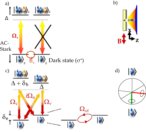 Ultrafast optical control of individual quantum dot spin qubits ...