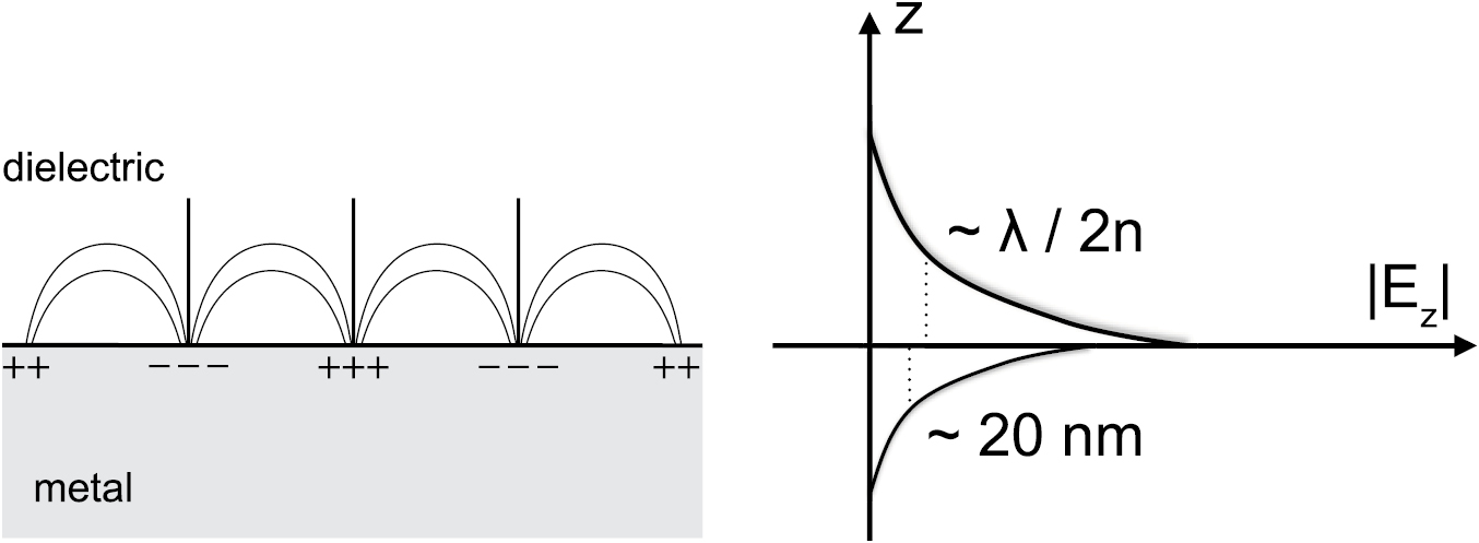 Strong coupling between surface plasmon polaritons and emitters: a ...