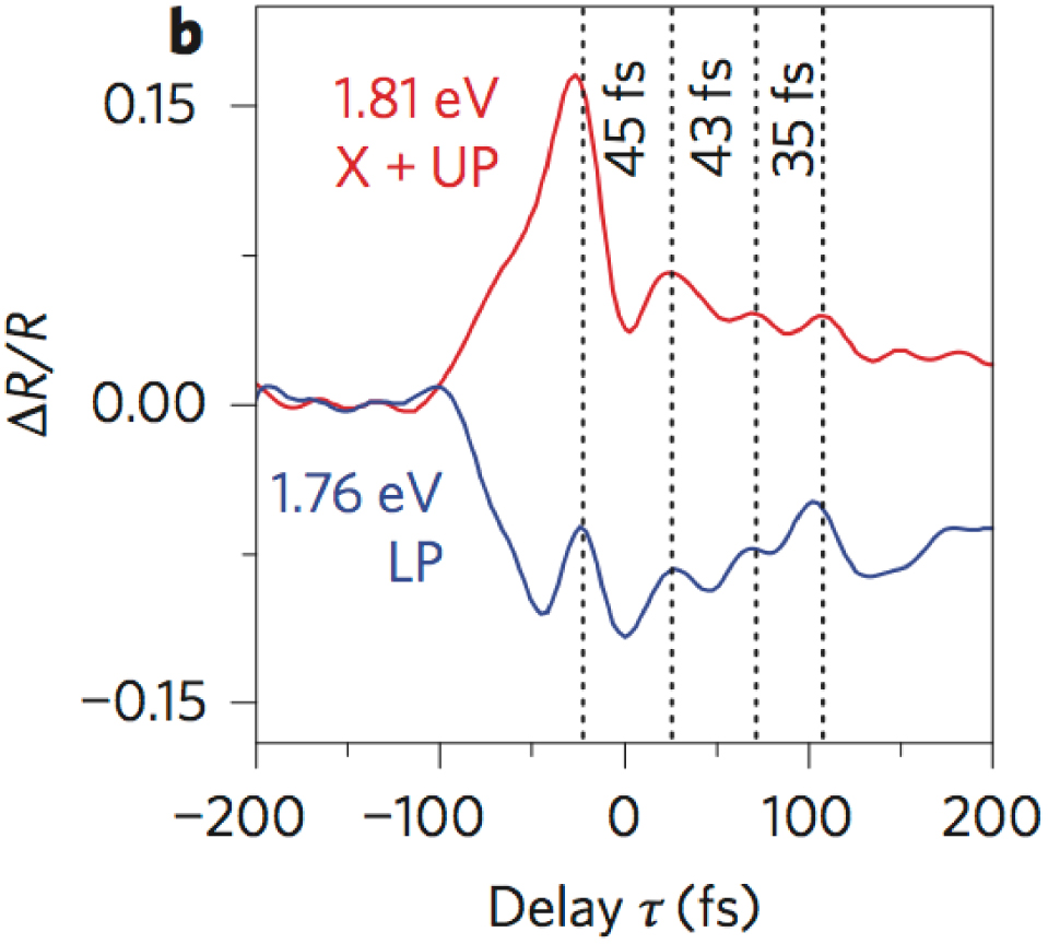 Strong coupling between surface plasmon polaritons and emitters: a ...