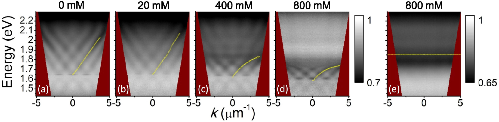 Strong coupling between surface plasmon polaritons and emitters: a ...