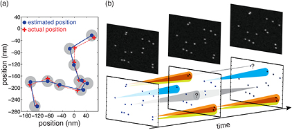 A review of progress in single particle tracking: from methods to ...