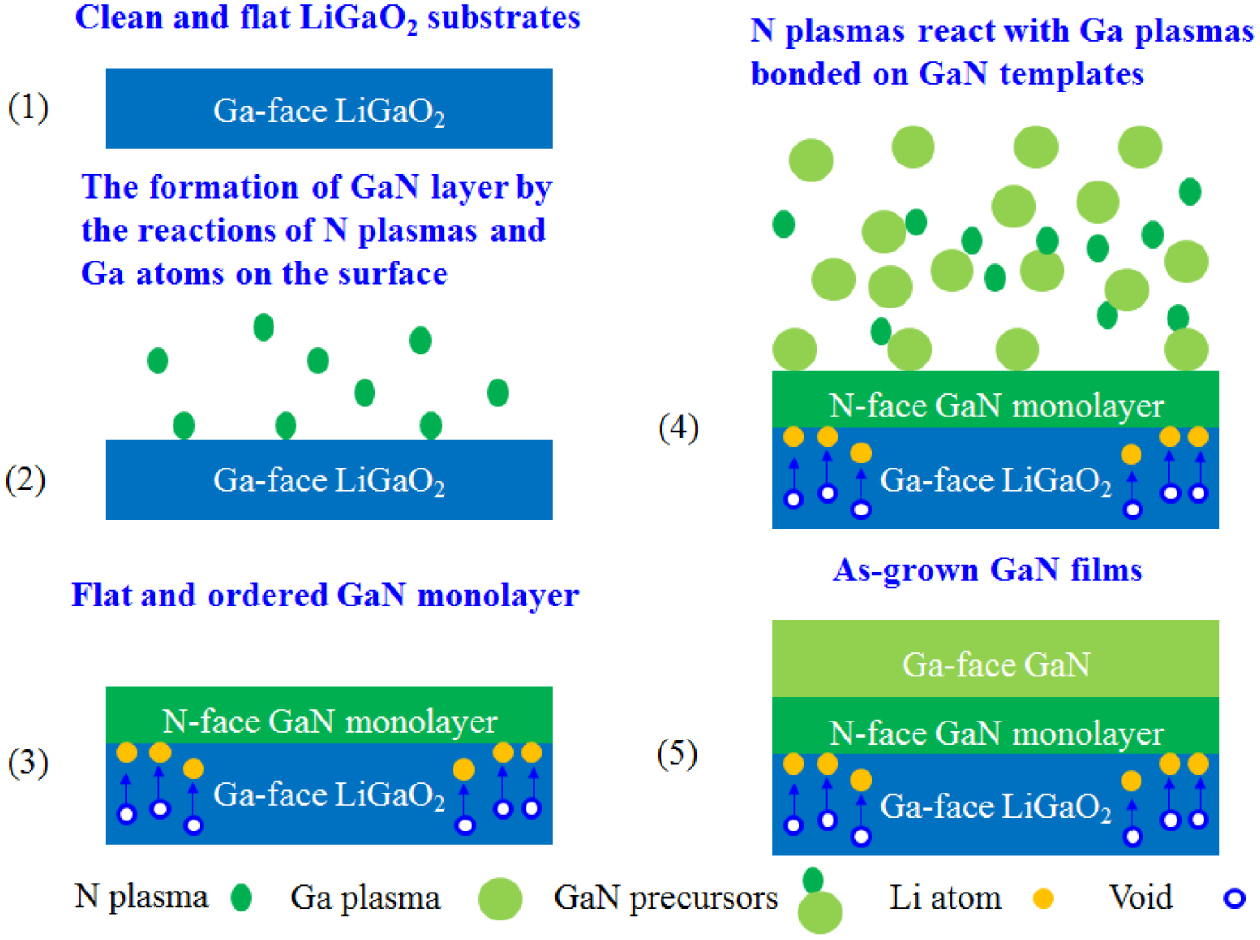 msk GaN-based light-emitting diodes on various substrates: a