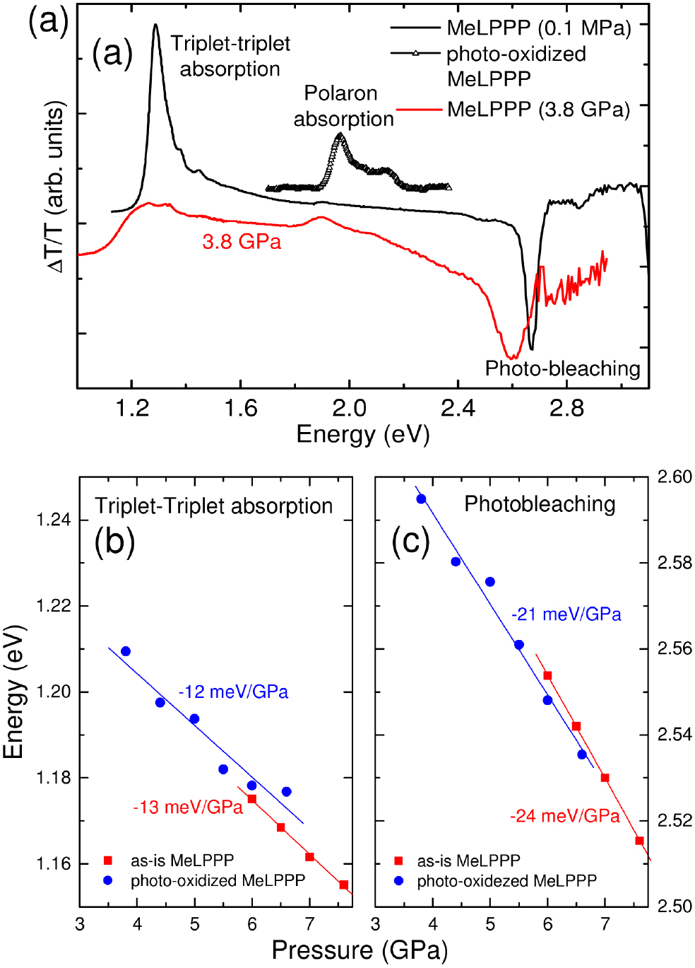 ぴあマップ　1987 Neoproterozoic transition from subduction to breakup along