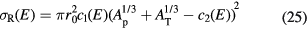 Equation (25)