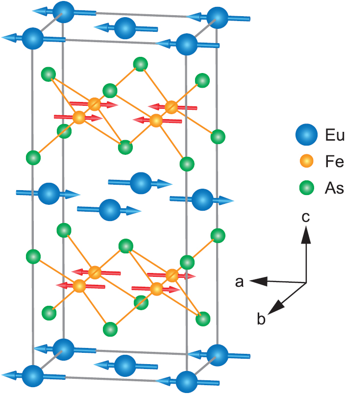 Europium-based iron pnictides: a unique laboratory for