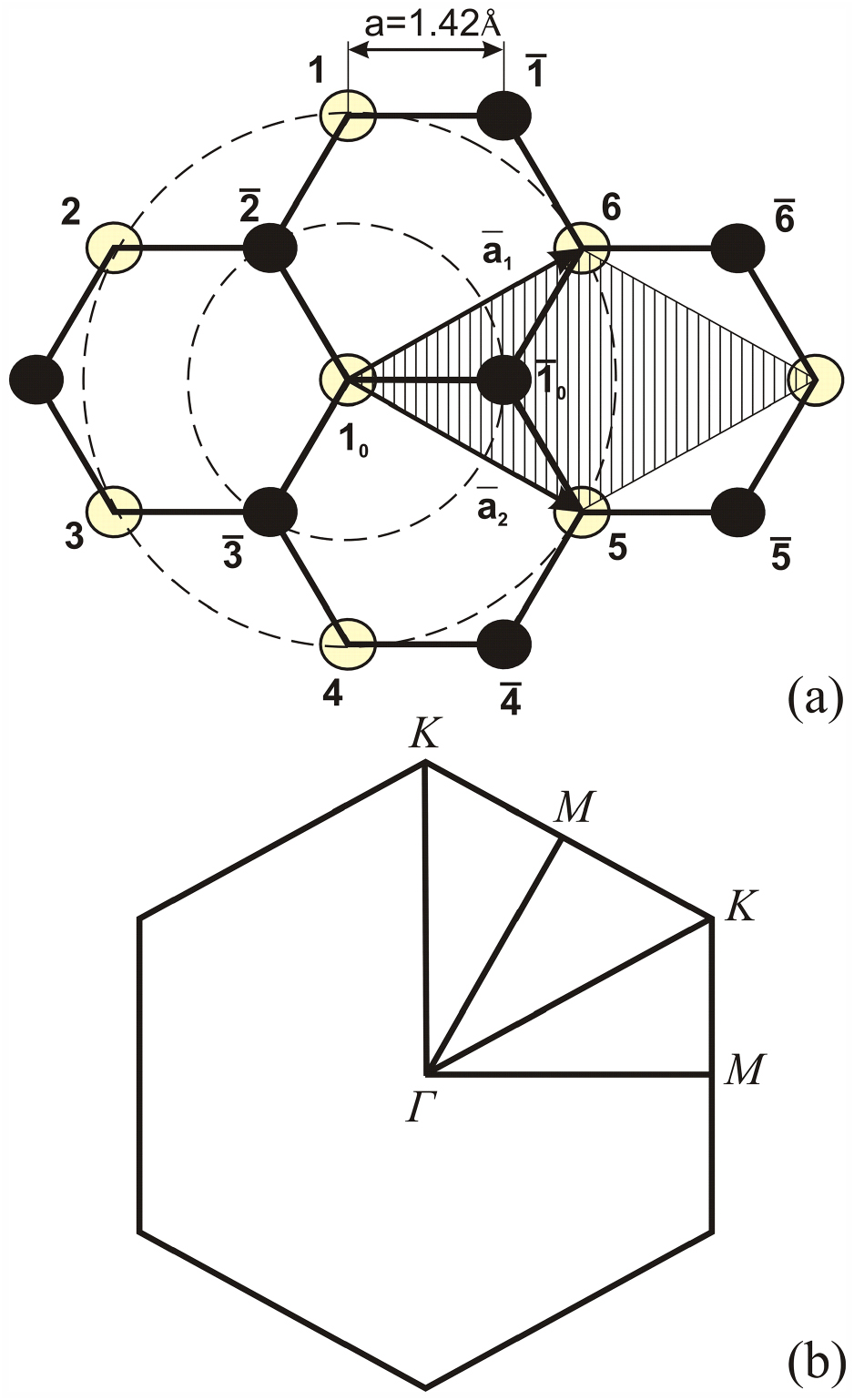 Phonons and thermal transport in graphene and graphene-based materials ...
