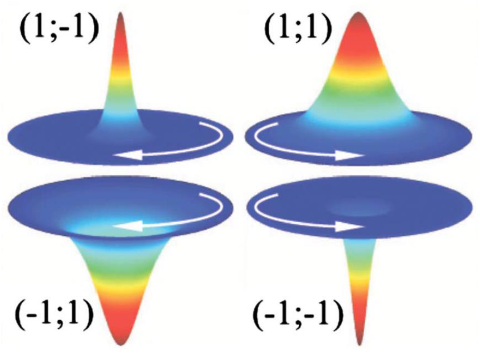 Characteristics and controllability of vortices in ferromagnetics