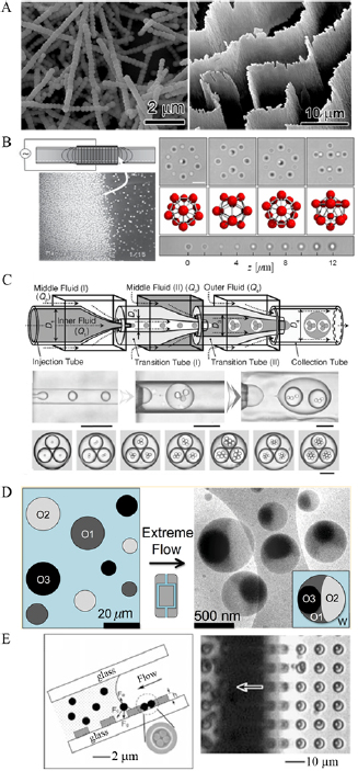 Assembly of colloidal particles in solution - IOPscience