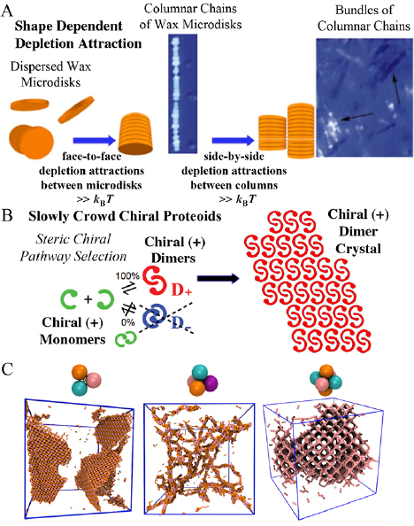 Spring For Colloidal Particle Assembly of colloidal particles in solution - IOPscience