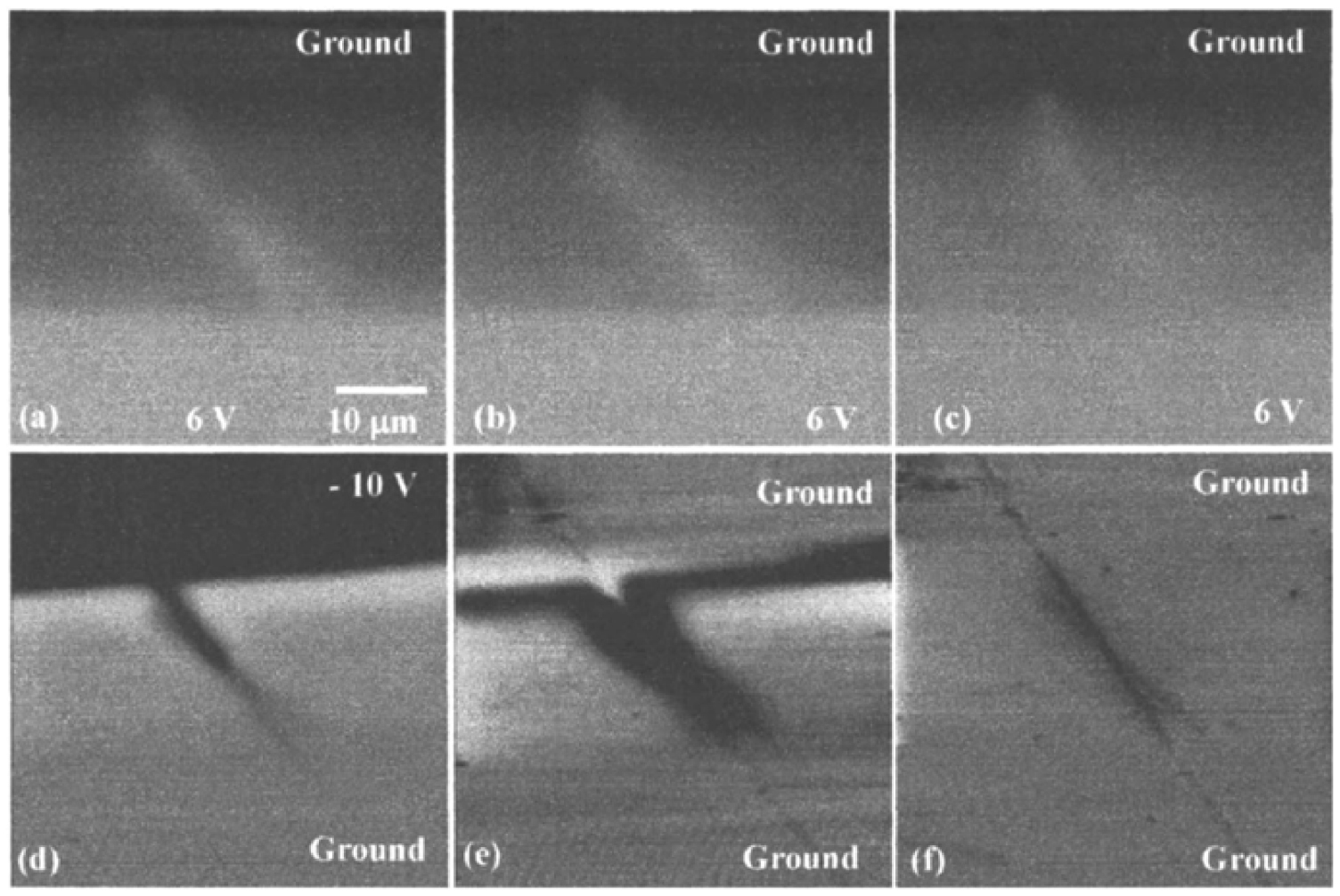 Surface-screening mechanisms in ferroelectric thin films and