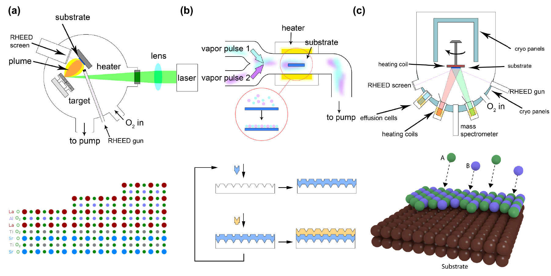 SCHECTER
 エレキギター 赤 Physics of SrTiO3-based heterostructures and nanostructures