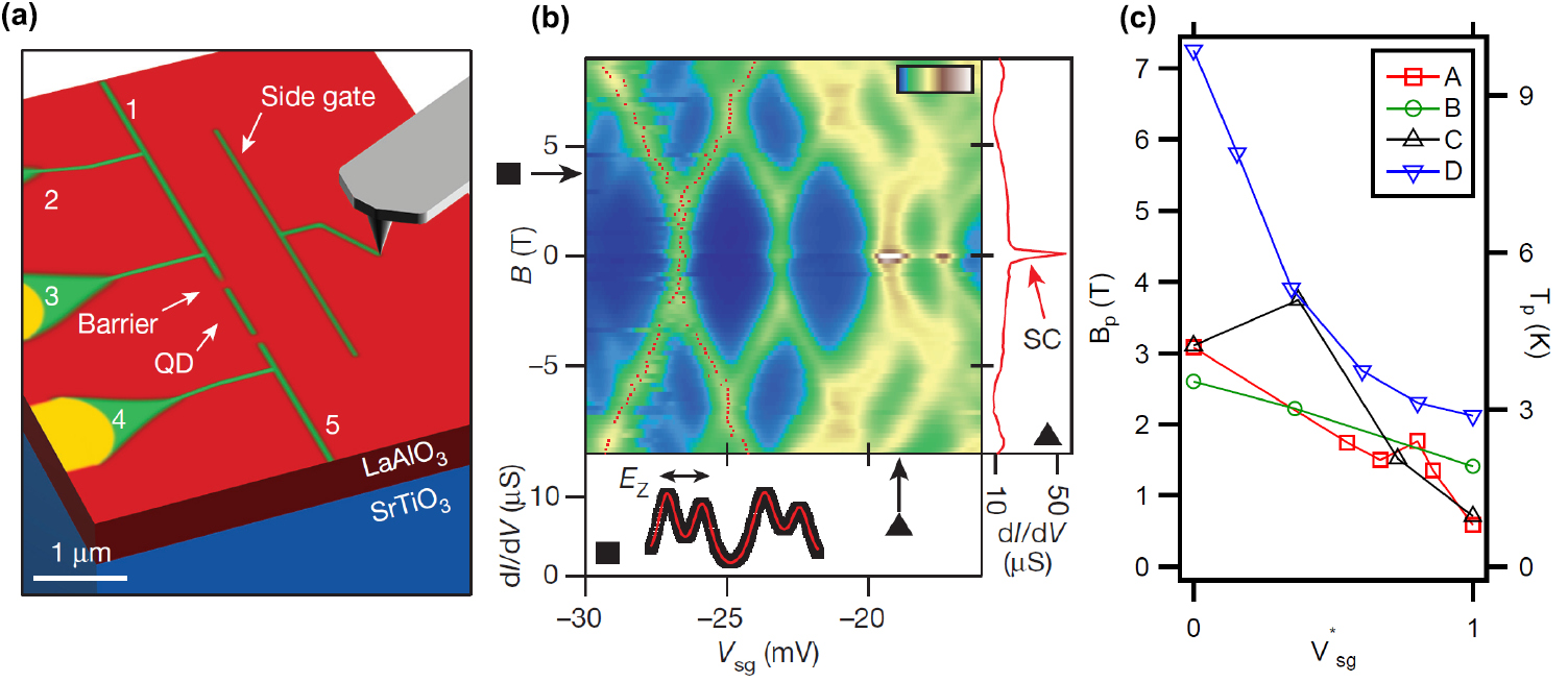 SCHECTER
 エレキギター 赤 Physics of SrTiO3-based heterostructures and nanostructures
