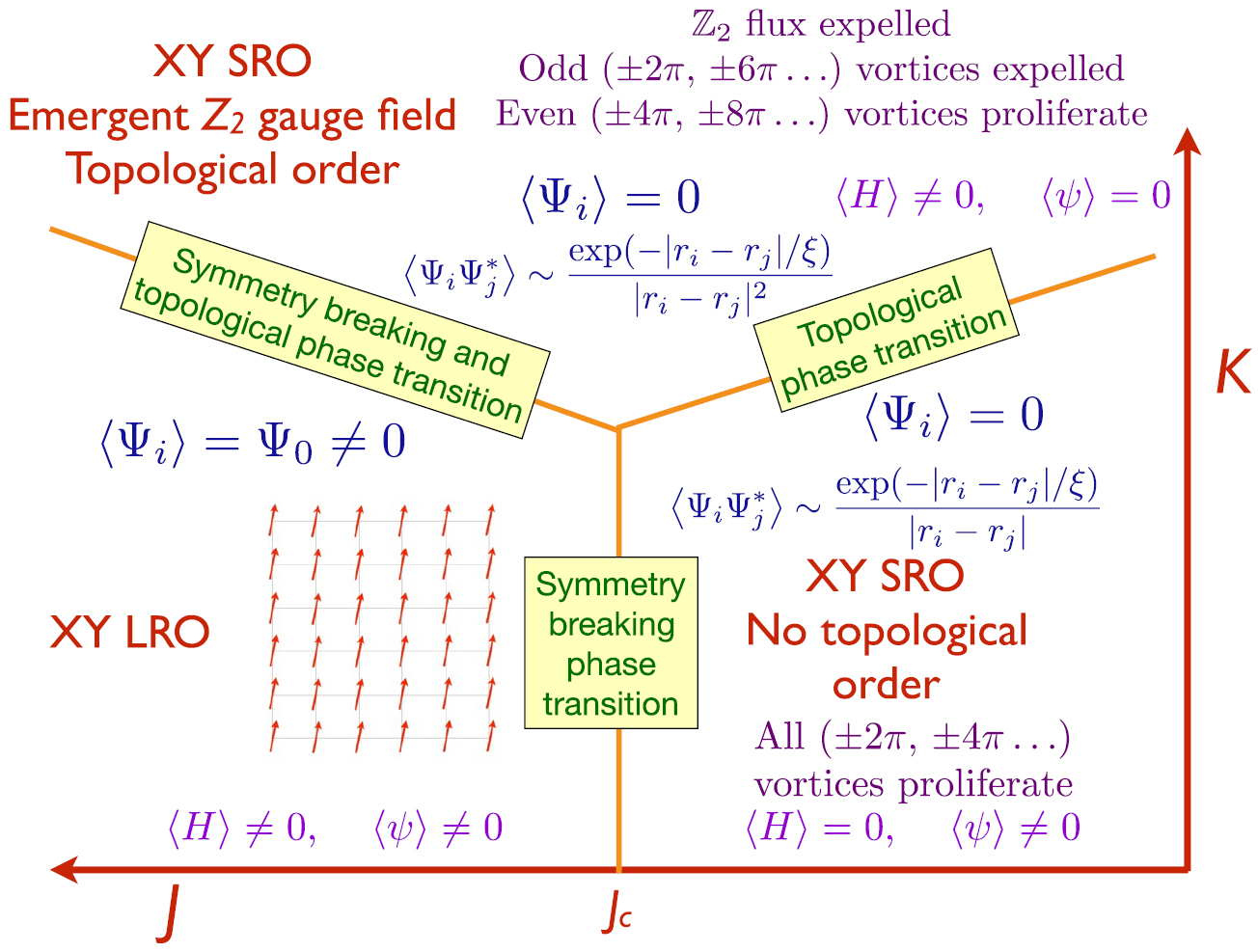 Topological order, emergent gauge fields, and Fermi surface ...