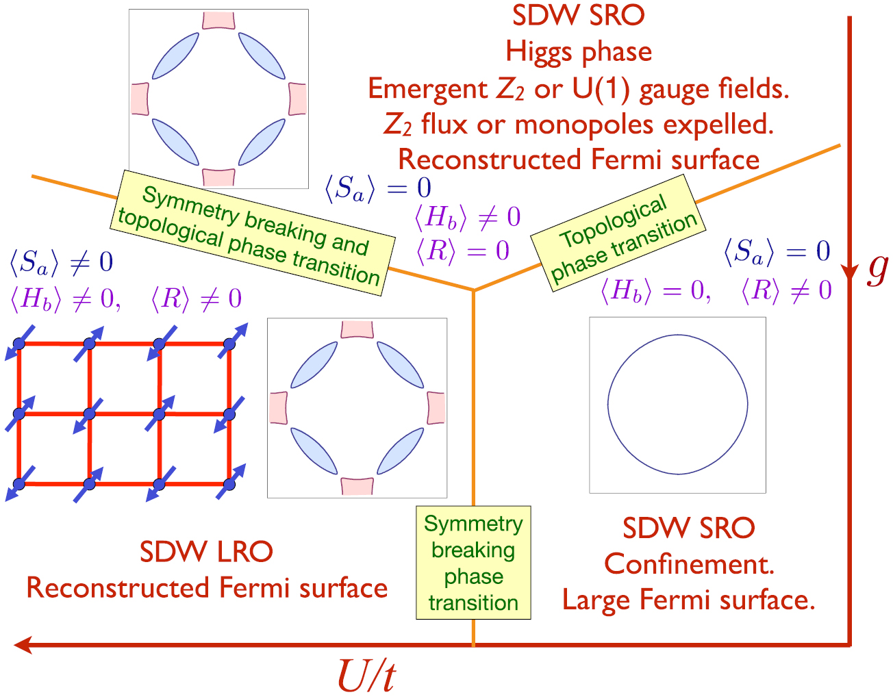 Topological order, emergent gauge fields, and Fermi surface ...