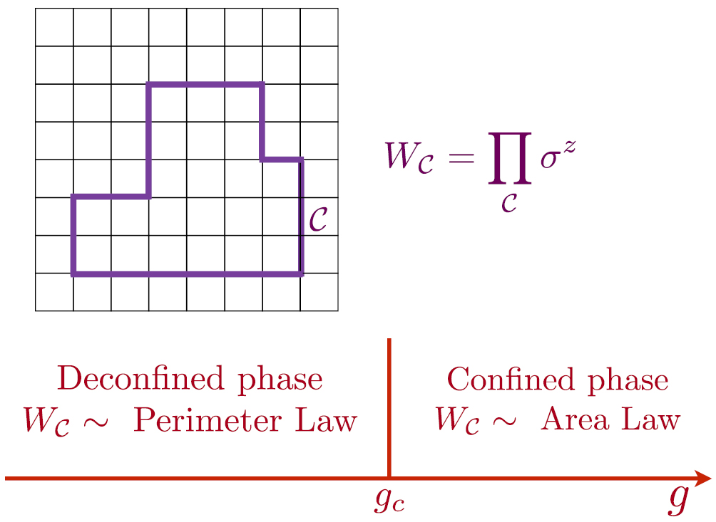 Topological order, emergent gauge fields, and Fermi surface ...