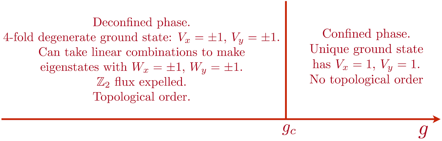 Topological order, emergent gauge fields, and Fermi surface ...